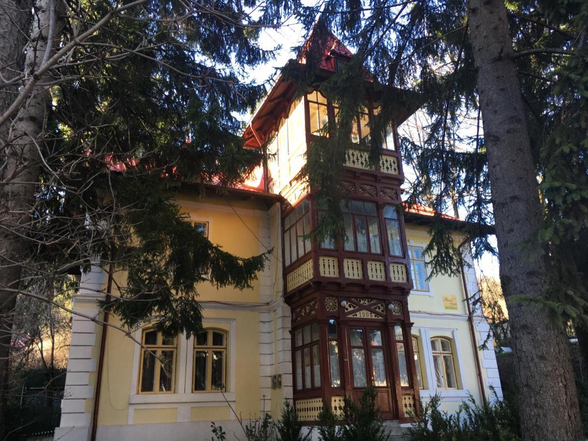 Vila Flavia Sinaia Exterior photo