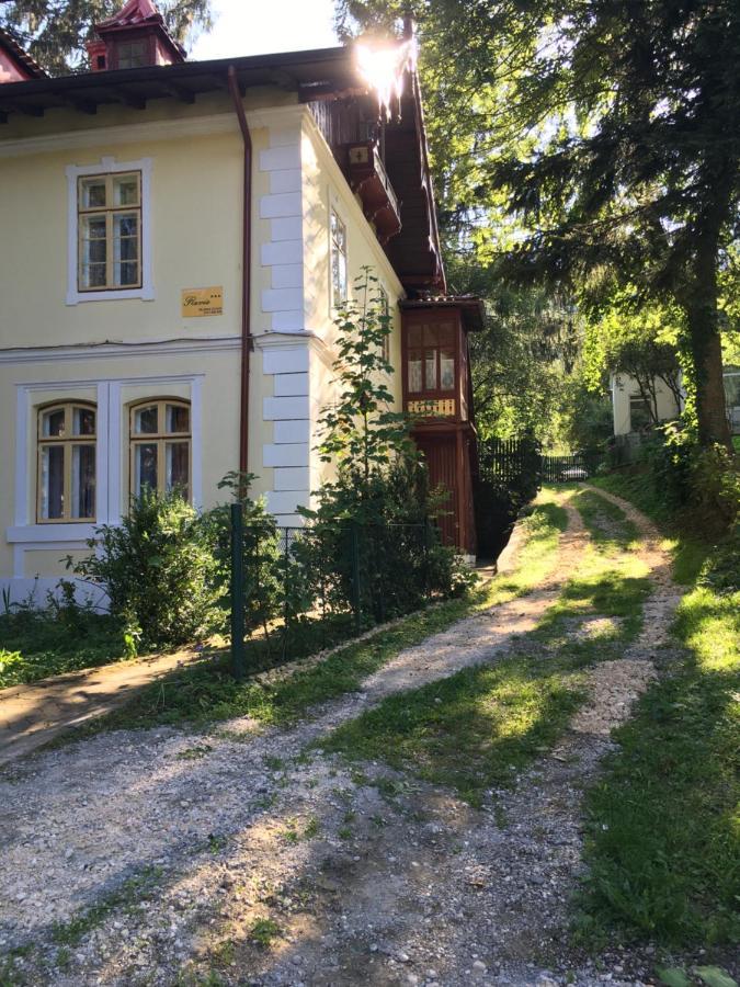 Vila Flavia Sinaia Exterior photo